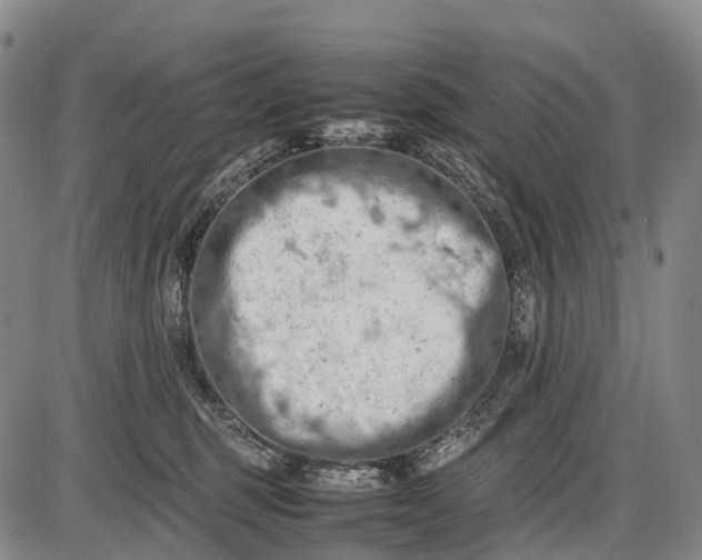 X0000085750375200703301408