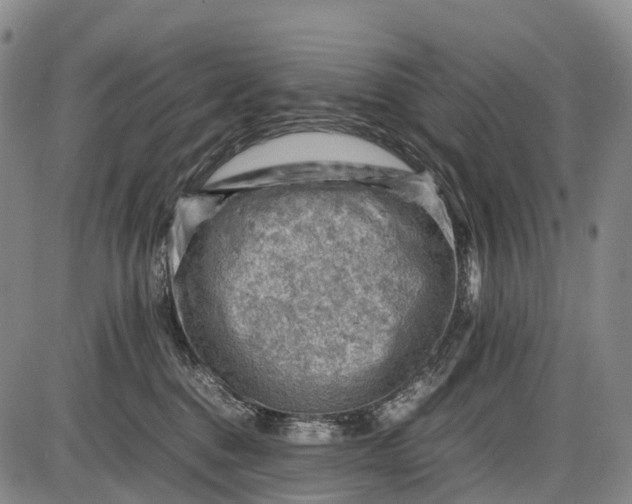 X0000085750376200703301408