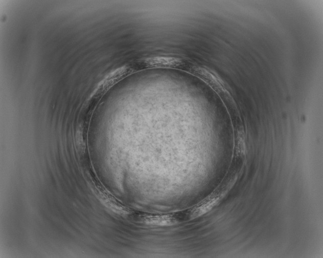 X0000085750377200703301408