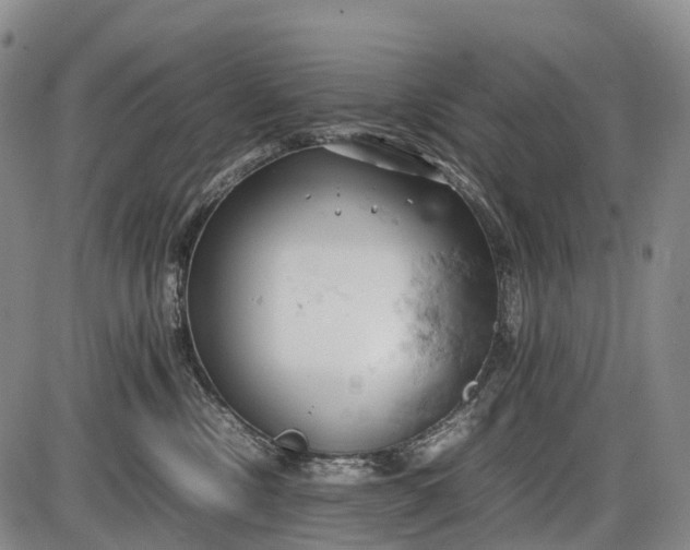 X0000085750378200703301408