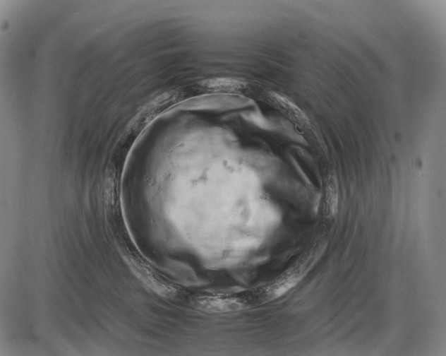 X0000085750379200703301408