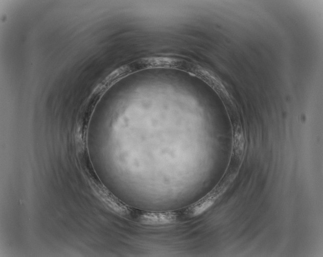 X0000085750381200703301409