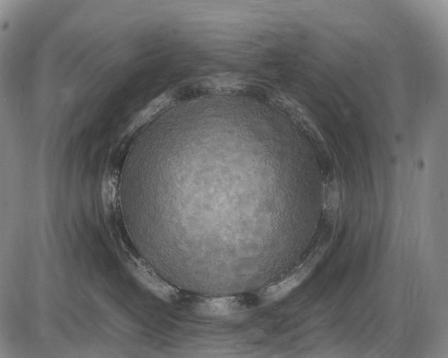 X0000085750382200703301409