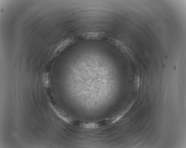 X0000085750383200703301409