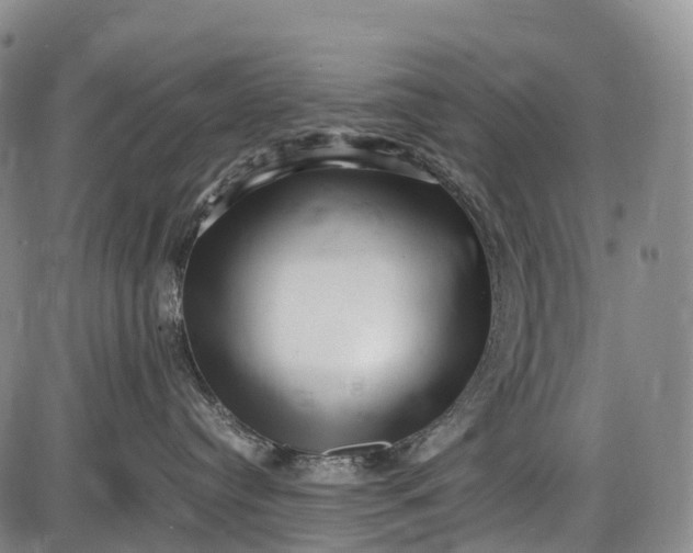 X0000085750384200703301409