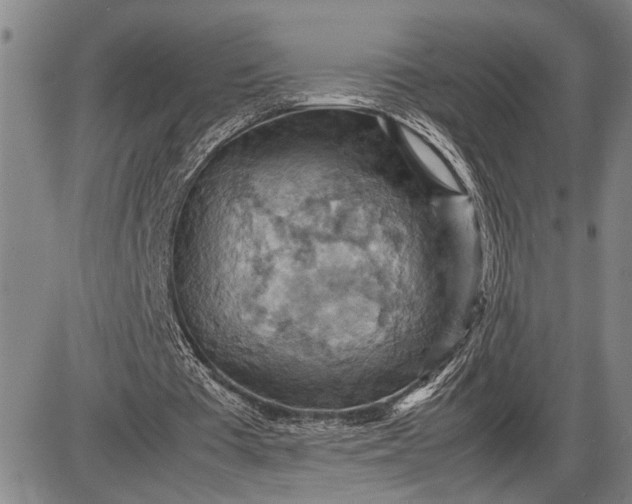 X0000085750385200703301408