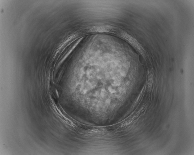 X0000085750386200703301408