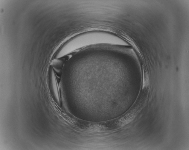 X0000085750387200703301408