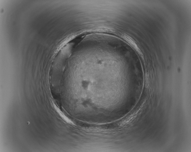 X0000085750389200703301408