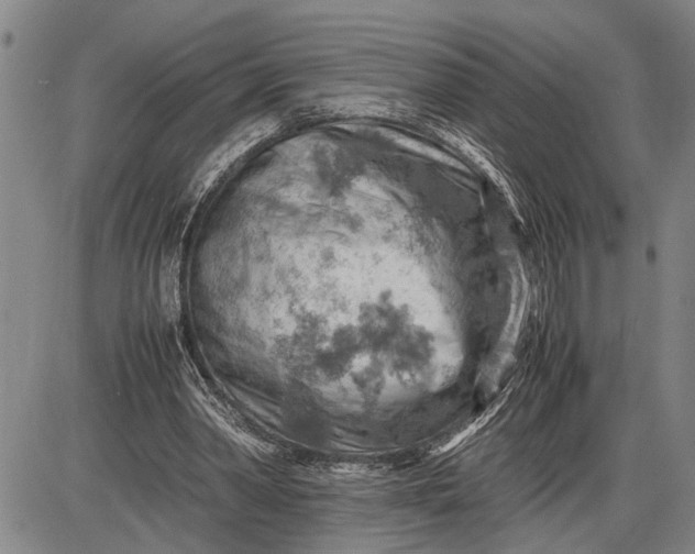 X0000085750390200703301408