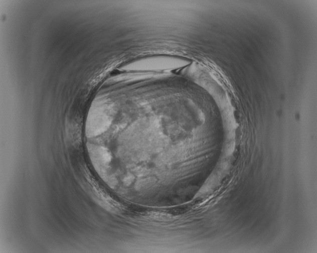 X0000085750393200703301408