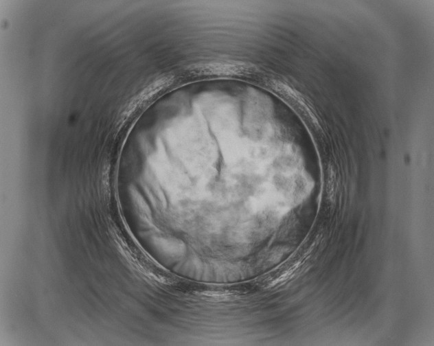 X0000085750394200703301408