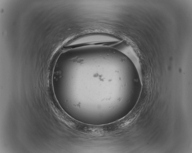 X0000085750395200703301408