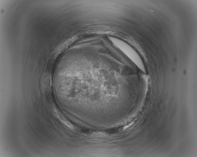 X0000085750397200703301408