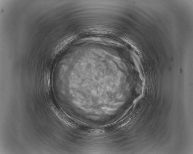 X0000085750398200703301408