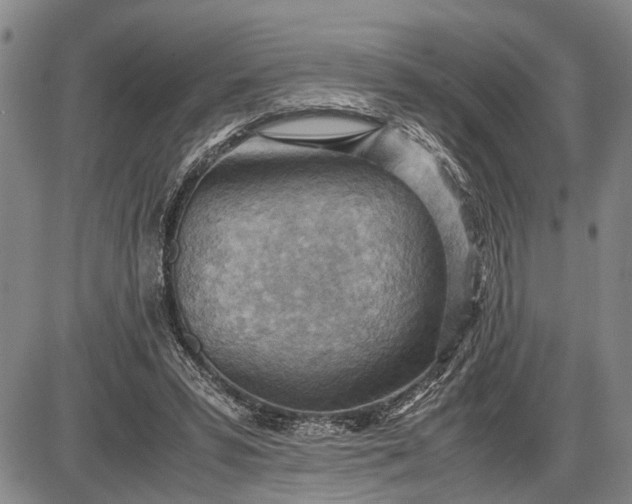 X0000085750399200703301408