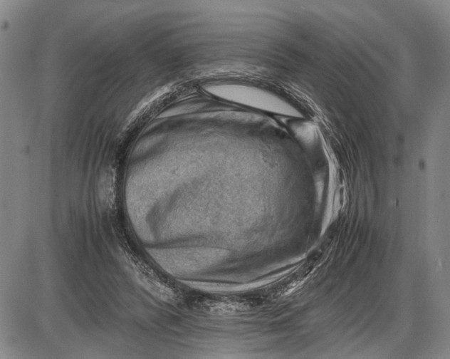 X0000085750400200703301408