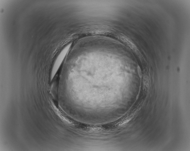 X0000085750401200703301407