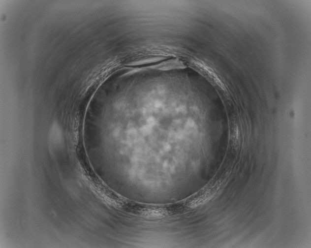 X0000085750402200703301407