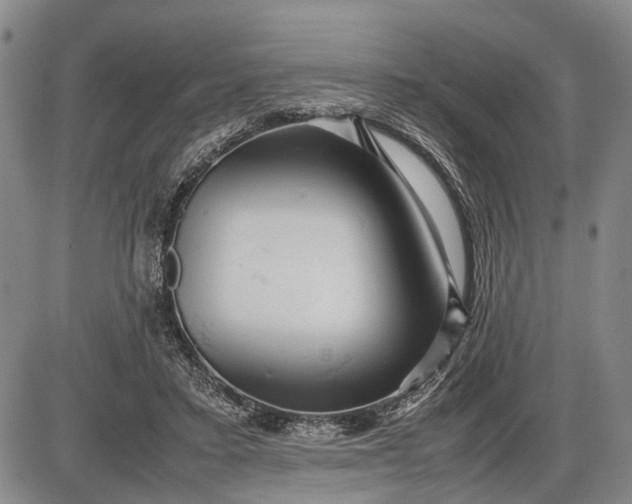 X0000085750403200703301407