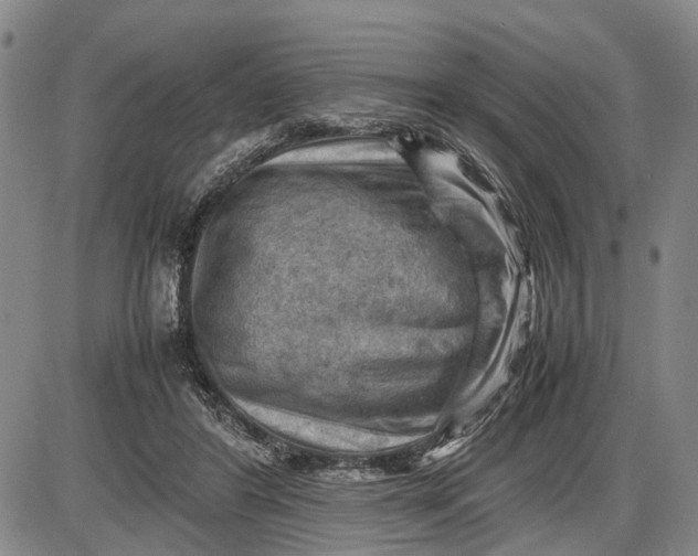 X0000085750404200703301407