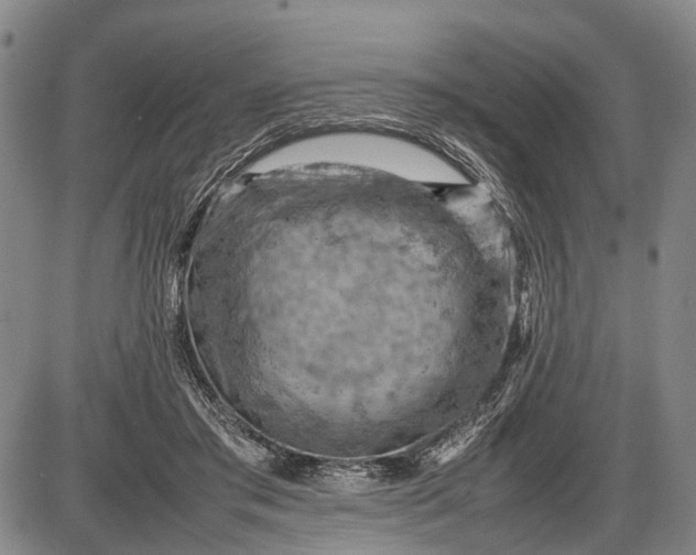 X0000085750405200703301407