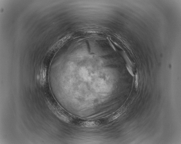 X0000085750406200703301407