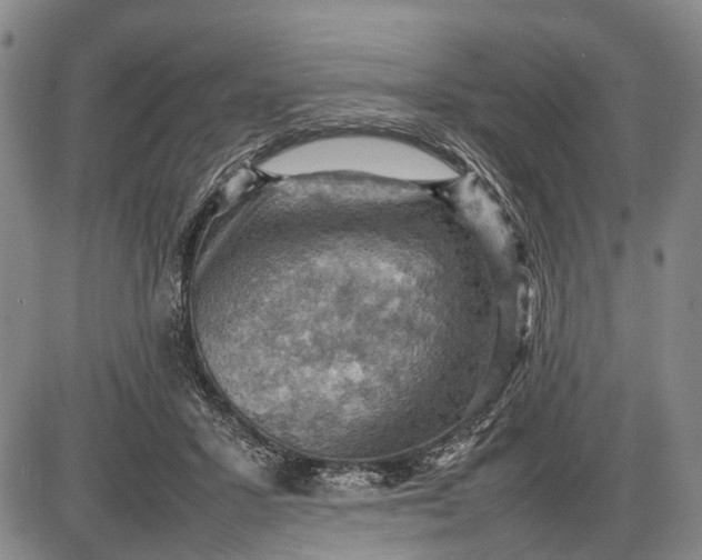 X0000085750407200703301407