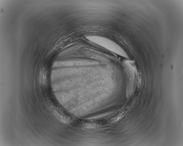 X0000085750408200703301407