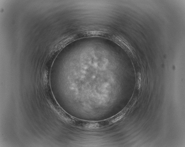 X0000085750410200703301407