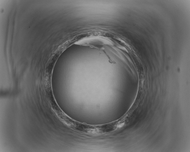 X0000085750411200703301407