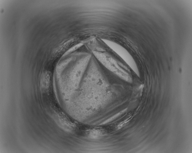 X0000085750412200703301407