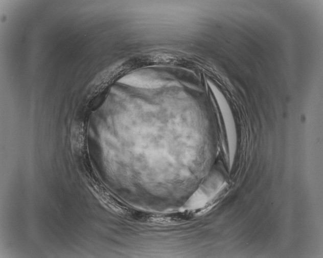 X0000085750413200703301407