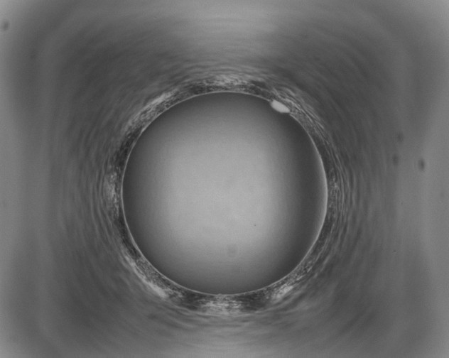 X0000085750415200703301407