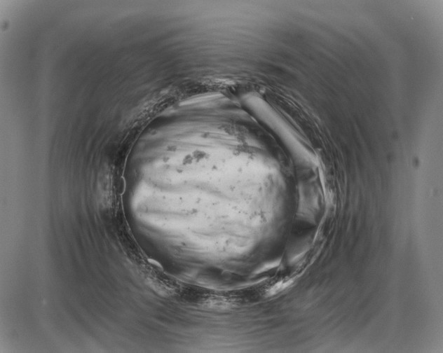 X0000085750416200703301407