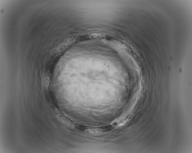 X0000085750417200703301407