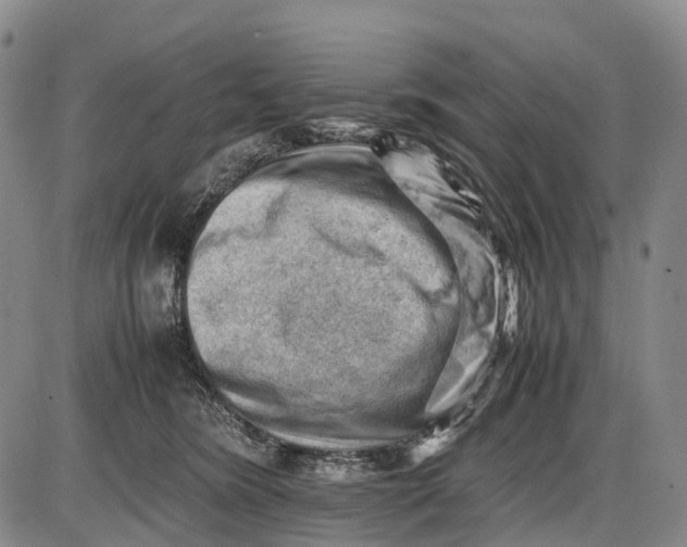 X0000085750420200703301407