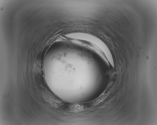 X0000085750421200703301407