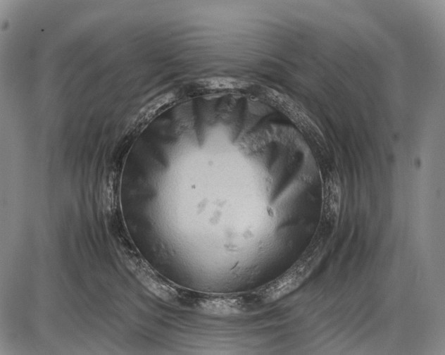 X0000085750422200703301407