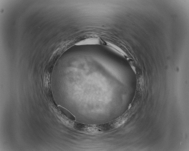 X0000085750423200703301407