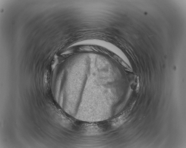 X0000085750424200703301407