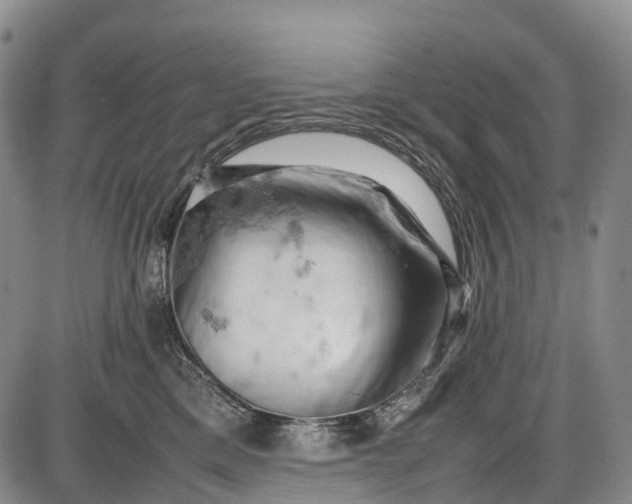 X0000085750425200703301407