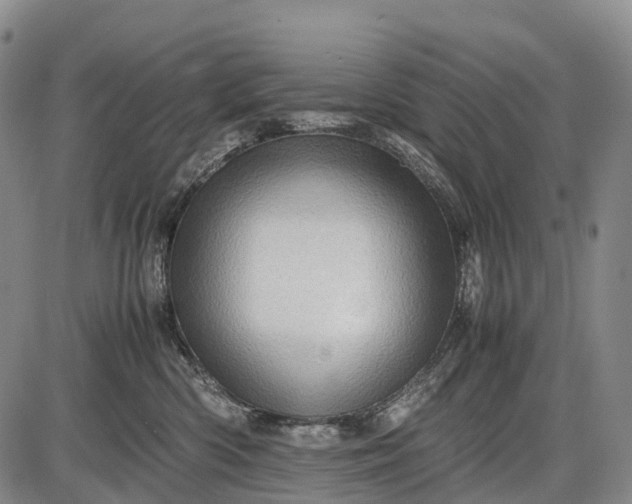 X0000085750426200703301407