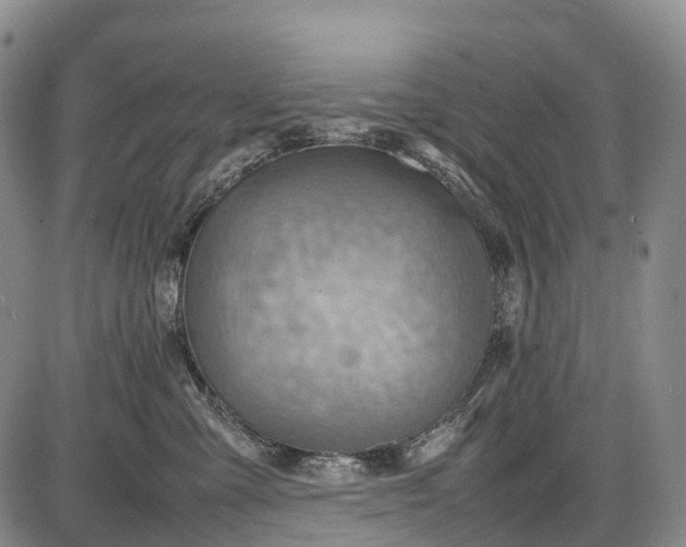 X0000085750427200703301407