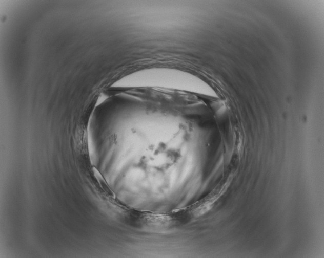 X0000085750429200703301407