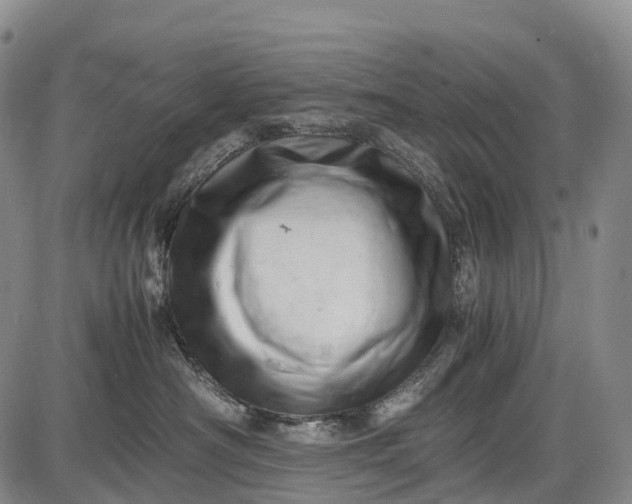 X0000085750430200703301407