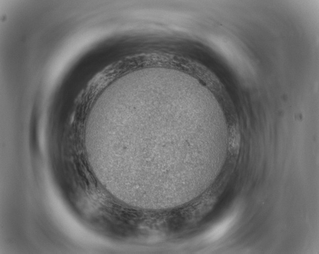 X0000085750431200703301407