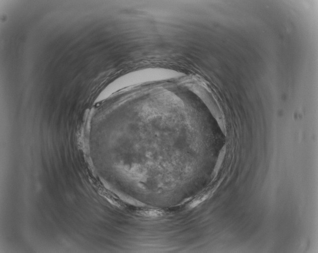 X0000085750432200703301407