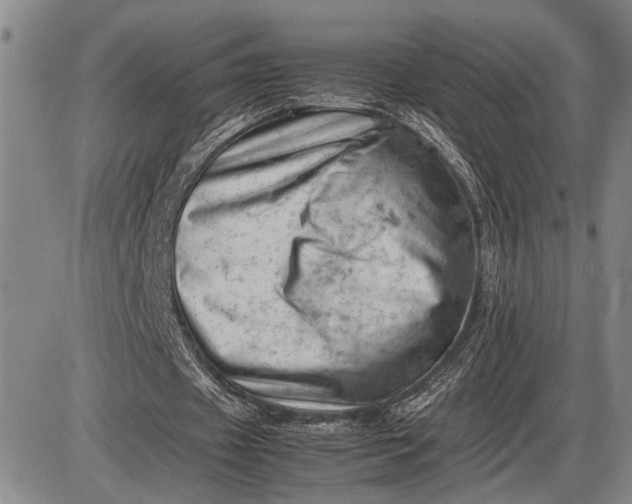 X0000085750433200703301406