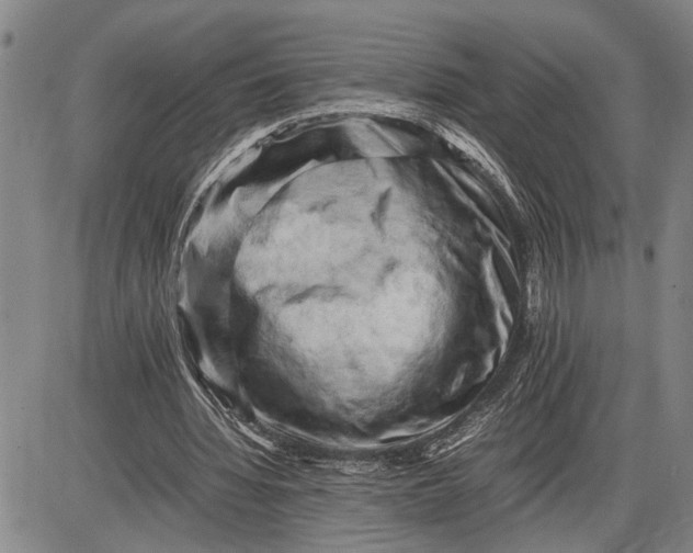 X0000085750436200703301406